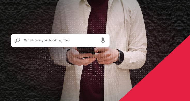 Ce sunt algoritmii Panda și Penguin?