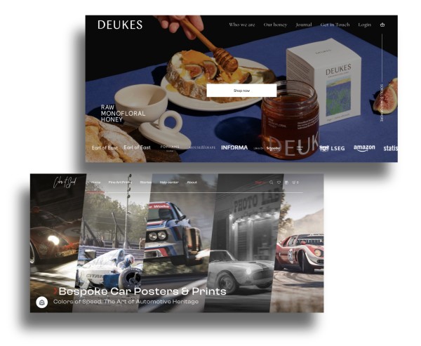 Rezultate și proiecte realizate