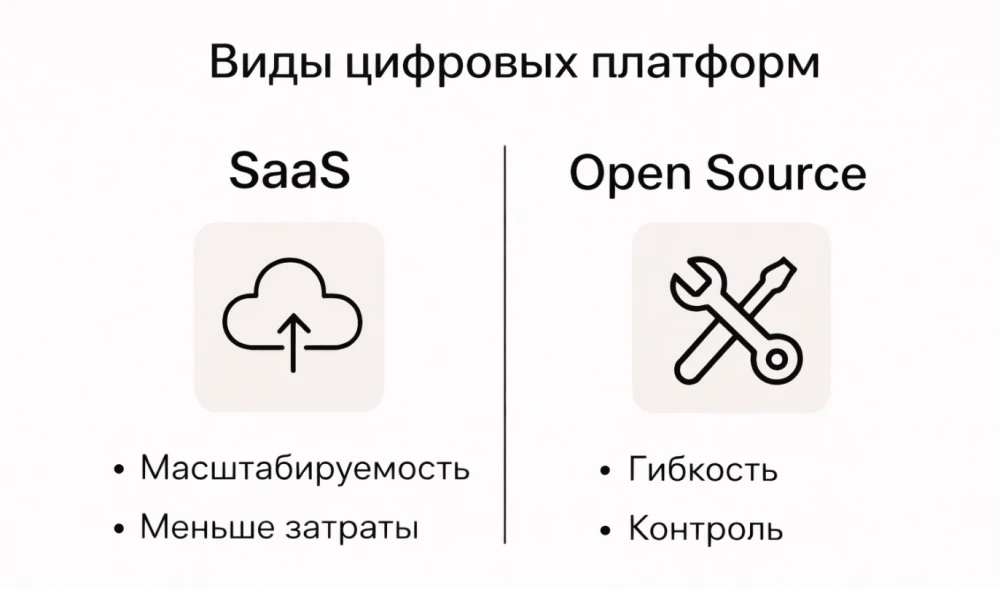 Панорама основных цифровых платформ ритейла в Молдове