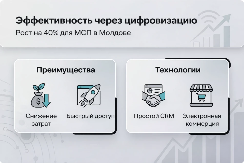 Инфографика: Преимущества цифровизации для МСП